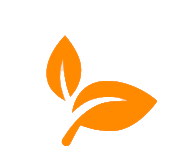 Natural Ingredients Icon